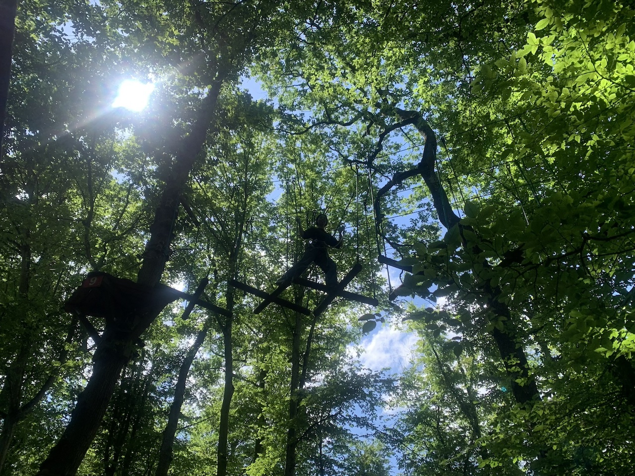 Mädchen im Kletterpark oben in den Baumkronen